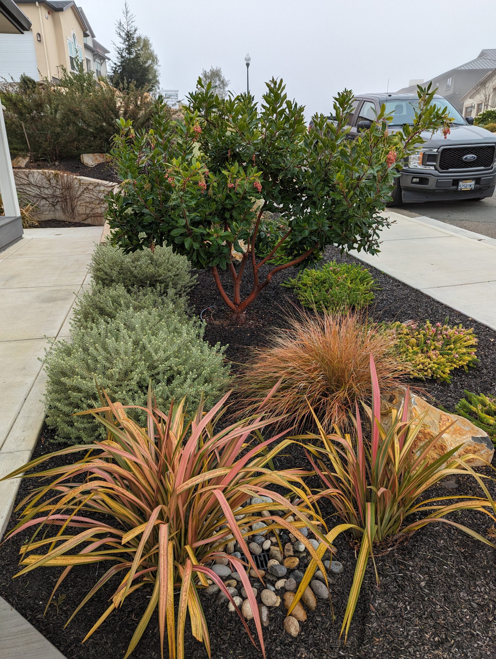 A Tranquil Landscaped Space Filled With Diverse Plants and Natural Rocks