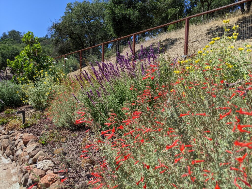 A Wooden Bench Adorned With Vibrant Flowers
